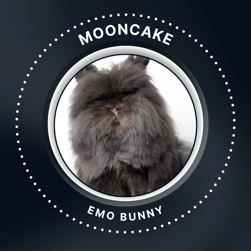Mooncake (2)