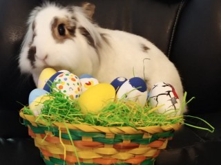 easter