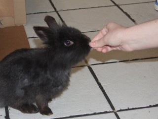 ragnar