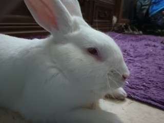 IMG_20230822_104318599