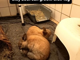 20220519_205102