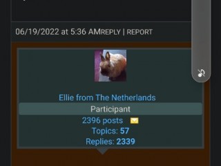 Screenshot_20220619-153018_Firefox