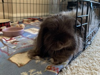 1BF2A7CA-F877-402C-AA5D-1A2760F62476