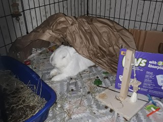20210408_211848