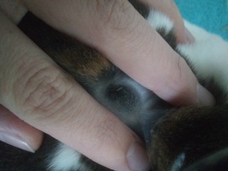 IMG_20201221_083653919
