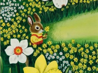 bunny