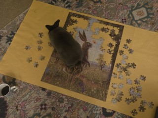 Dorion helping with a jigsaw puzzle 
