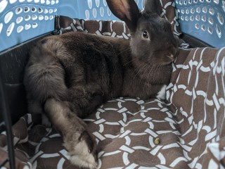 IMG_20200806_121304