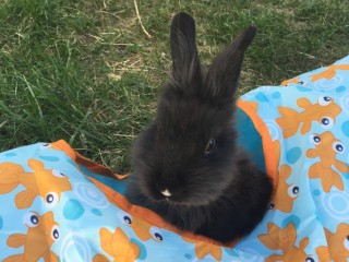 IMG_4036