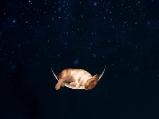 _Take him to the moon for me_