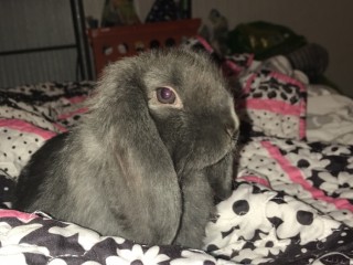 8C586BDC-C0C5-4746-AA4F-C07BA58D7B7D