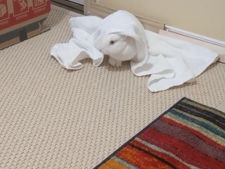 Ruby towel_Moment2