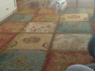 Ruby binky
