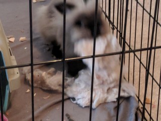 IMG_20180929_102522