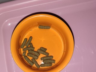 IMG_20211123_232728