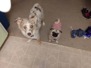 IMG_20201026_181020528