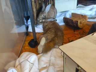 IMG_20211023_172141