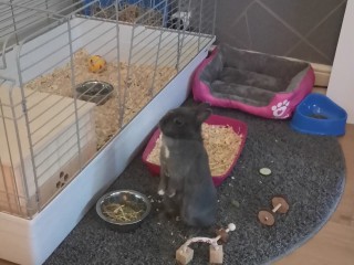 Screenshot_20210801_222132_com