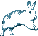 Binkybunny.com logo