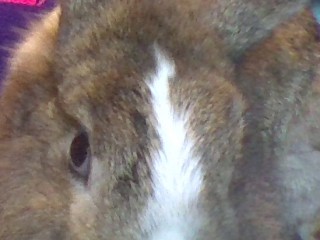 IMG_20210827_135816