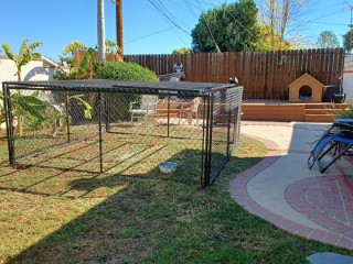 10 x 10 cage rabbit