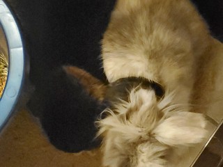 20220109_175631
