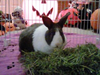 IMG_20201011_201248