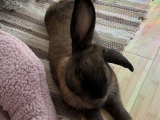 IMG_0491