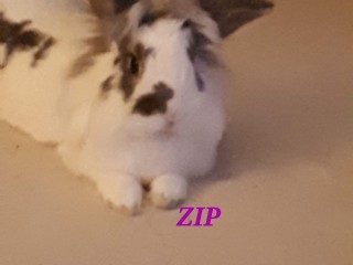 20181117_231928