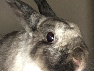 5834A1FA-84A5-4D36-AB4A-0DD6411254E1