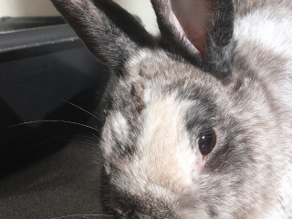 7015A33C-5C15-4664-9FCB-48C25B6F18D7