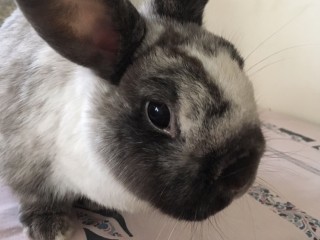 8CFCE7EF-A866-4A8A-8FEB-96B2054D92EA