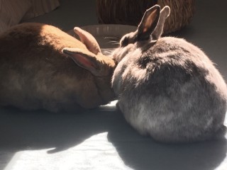 ADAF8B9A-F7FC-47D8-B99A-8315EDCAA467