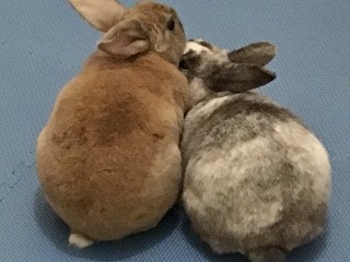 F3DDC286-B0CF-49B0-A0D8-23D2558EDD4C