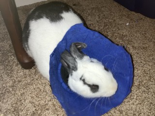 79AFFC41-E163-45DB-B145-C8E280B1E91C