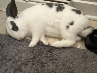 E50903D5-22AA-437A-8271-F88515F5D27A