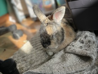 F5DEF4A0-157D-4C1B-BC71-A242C0AF844C