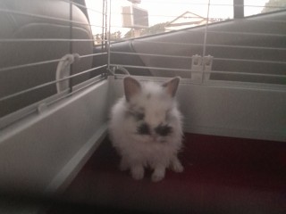 IMG_20231102_182112_01