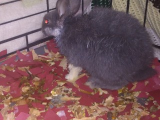 IMG_20231221_221217609