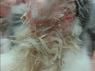 Screenshot_20231226-003845