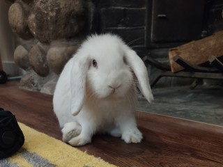 IMG_20230617_125439981_HDR~2